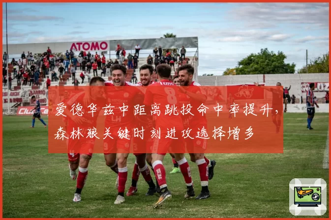 爱德华兹中距离跳投命中率提升，森林狼关键时刻进攻选择增多