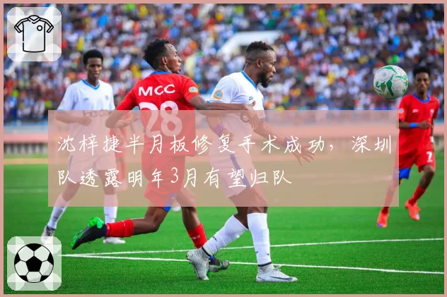 沈梓捷半月板修复手术成功,深圳队透露明年3月有望归队