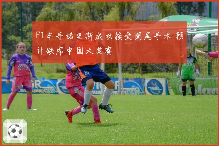 F1车手诺里斯成功接受阑尾手术 预计缺席中国大奖赛